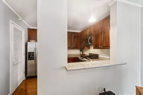 420 E Waterside Dr #1302, Chicago, IL 60601 photo 6