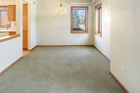 1477 E Thacker St #202, Des Plaines, IL 60016 photo 26