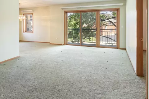 1477 E Thacker St #202, Des Plaines, IL 60016 photo 8