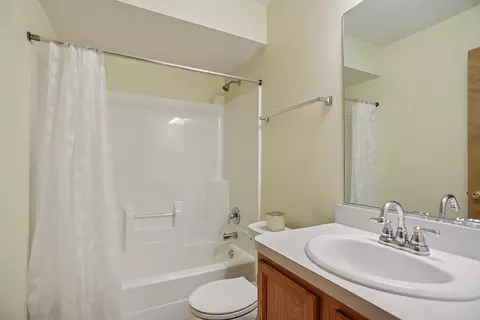 Bath - 217 Hillcrest Ln, Steger, IL 60475 photo 1 of 2