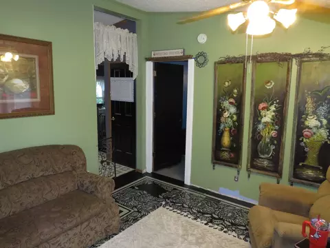 510 7th St, Mazon, IL 60444 photo 12