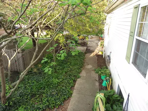510 7th St, Mazon, IL 60444 photo 9
