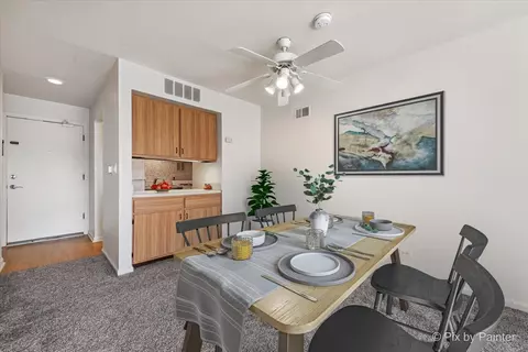 5100 Carriageway Dr #305-2, Rolling Meadows, IL 60008 photo 9