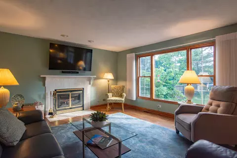 Living - 3250 Mini Dr, Wadsworth, IL 60083 photo 3 of 6