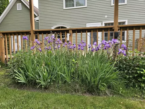 Exterior - 3250 Mini Dr, Wadsworth, IL 60083 photo 10 of 13