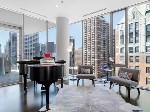 4 Elm St #13S, Chicago, IL 60611 photo 8
