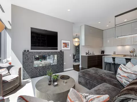 4 Elm St #13S, Chicago, IL 60611 photo 24