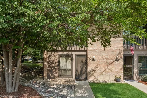 5916 Meadow Dr #149-A, Lisle, IL 60532