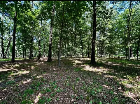 220 Beyers Lake Est, Pana, IL 62557