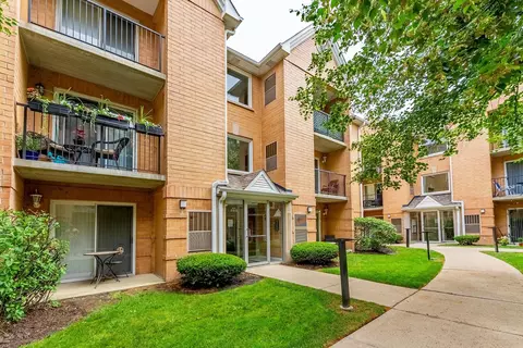 8710 W Evelyn Ln #201, Chicago, IL 60656