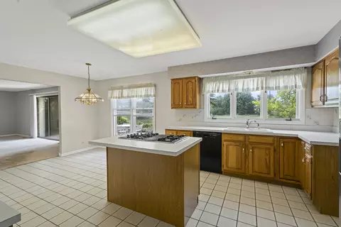 730 Kylemore Dr, Des Plaines, IL 60016 photo 8