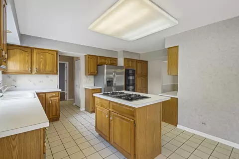 730 Kylemore Dr, Des Plaines, IL 60016 photo 9