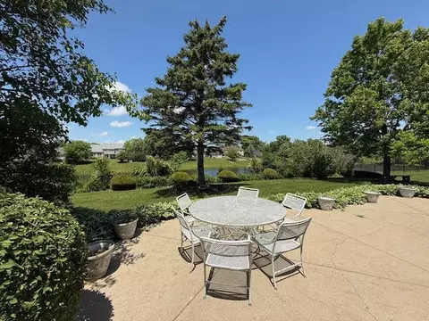 730 Kylemore Dr, Des Plaines, IL 60016 photo 30