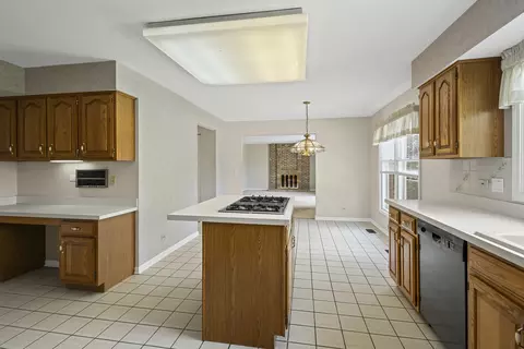 730 Kylemore Dr, Des Plaines, IL 60016 photo 7