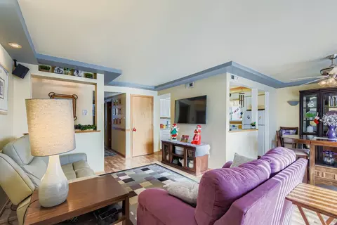 Living - 7336 86th St W #2B, Bridgeview, IL 60455 photo 2 of 3