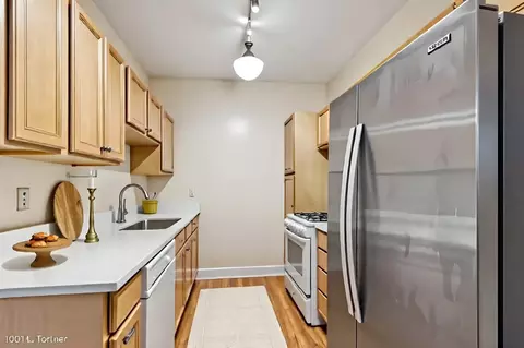 827 Forest Ave #2E, Evanston, IL 60202 photo 5