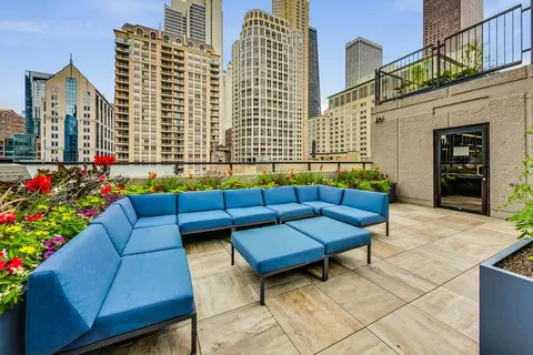 30 E Huron St #2602, Chicago, IL 60611 photo 25
