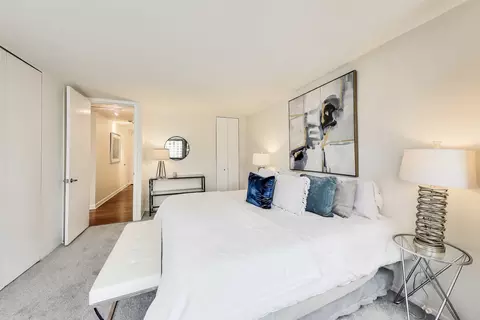 30 E Huron St #2602, Chicago, IL 60611 photo 15
