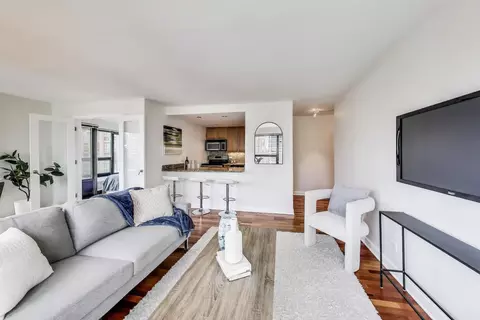 30 E Huron St #2602, Chicago, IL 60611 photo 5