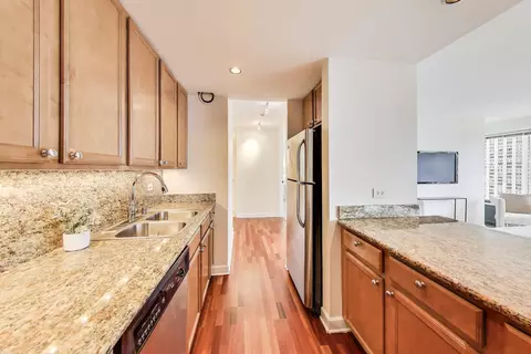 30 E Huron St #2602, Chicago, IL 60611 photo 12