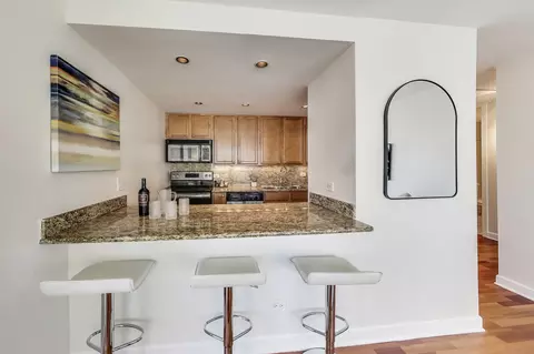 30 E Huron St #2602, Chicago, IL 60611 photo 10