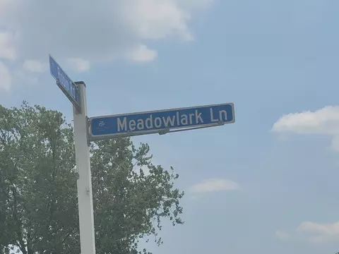 10 Meadowlark Ln, Beecher, IL 60401 photo 19