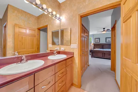 20015 Founders Way, Olympia Fields, IL 60461 photo 19