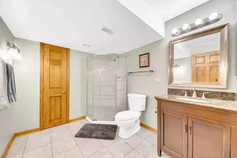 20015 Founders Way, Olympia Fields, IL 60461 photo 28