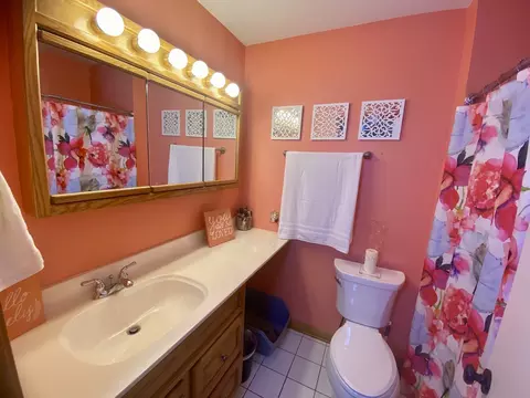 Bath - 1615 Meadow Ln, Mchenry, IL 60050 photo 3 of 5