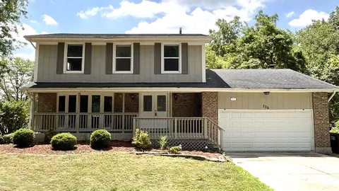 706 Carnation Ln, Matteson, IL 60443