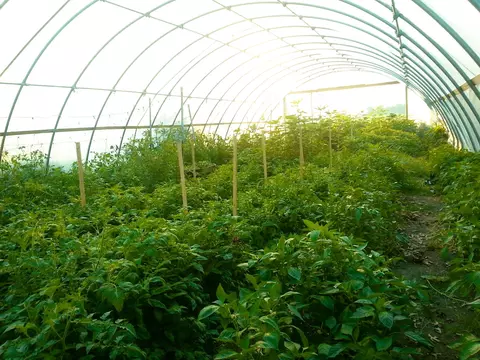 Other - 2840 W Ziebarth Rd, Normal, IL 61761 photo 13 of 24