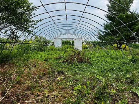 Other - 2840 W Ziebarth Rd, Normal, IL 61761 photo 11 of 24