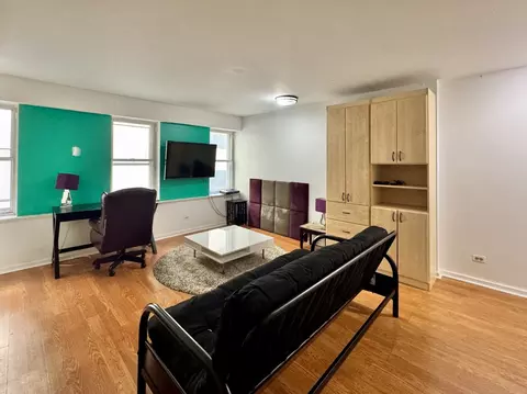 Living - 40 E 9th St #512, Chicago, IL 60605 photo 5 of 5