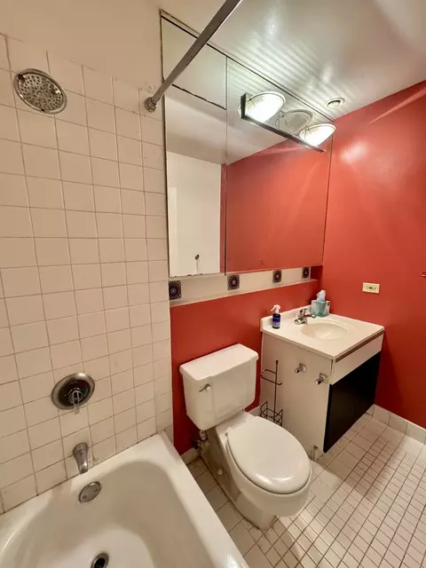 Bath - 40 E 9th St #512, Chicago, IL 60605 photo 1 of 1