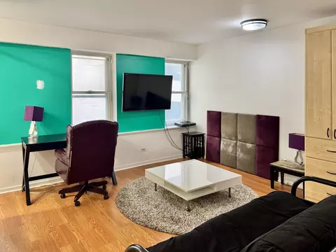 Living - 40 E 9th St #512, Chicago, IL 60605 photo 2 of 5