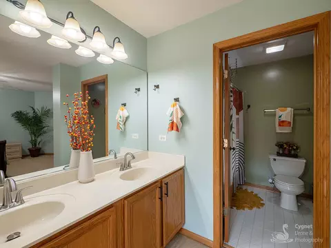 Bath - 2906 Sun Valley Ct, Plainfield, IL 60586 photo 2 of 4