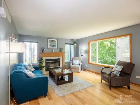 Living - 2906 Sun Valley Ct, Plainfield, IL 60586 photo 2 of 3