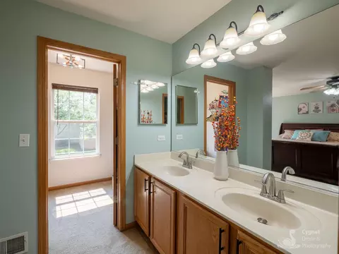 Bath - 2906 Sun Valley Ct, Plainfield, IL 60586 photo 3 of 4