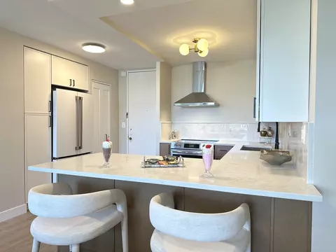 720 W Gordon Ter #6J, Chicago, IL 60613 photo 2