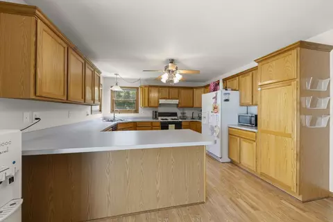 146 E 3rd St, Braidwood, IL 60408 photo 8