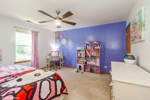 4705 Peacock Ln, Plainfield, IL 60586 photo 22