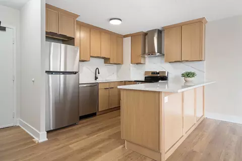 33 E Cedar St #6B, Chicago, IL 60611 photo 5