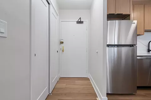 33 E Cedar St #6B, Chicago, IL 60611 photo 12