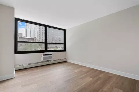 33 E Cedar St #6B, Chicago, IL 60611 photo 13