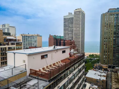 33 E Cedar St #6B, Chicago, IL 60611 photo 21