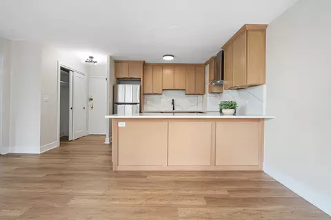 33 E Cedar St #6B, Chicago, IL 60611 photo 4