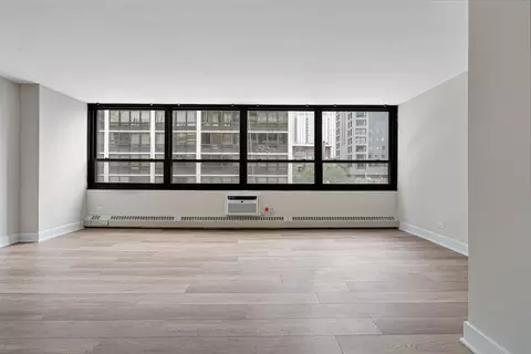 33 E Cedar St #6B, Chicago, IL 60611 photo 2
