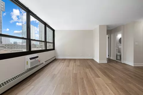 33 E Cedar St #6B, Chicago, IL 60611 photo 3