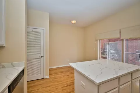 Other - 353 Eastgate Pl, Chicago, IL 60616 photo 5 of 11