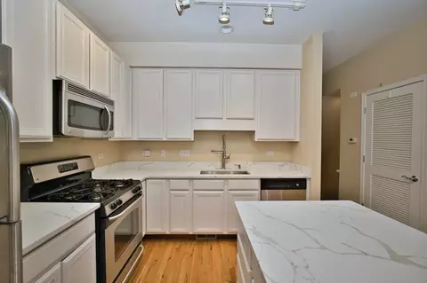 Kitchen - 353 Eastgate Pl, Chicago, IL 60616 photo 4 of 6